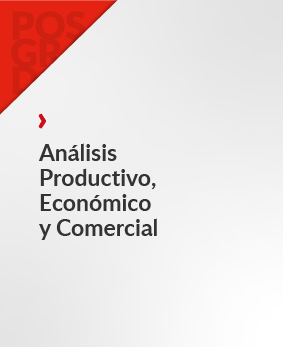 Análisis Productivo, Económico y Comercial